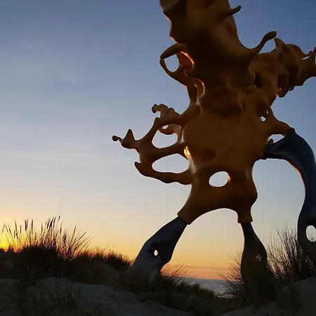 Ξενοδοχείο C-hotels Zeegalm 3*